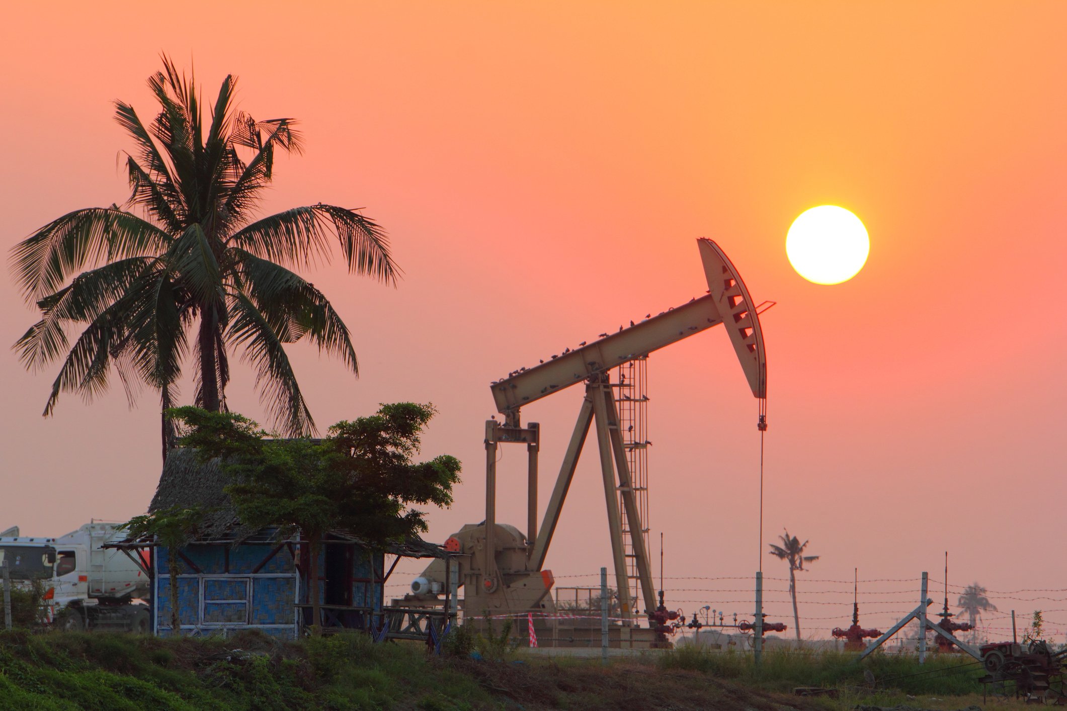 Oil pump jack at sunset with a palm tree