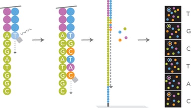 hires-sbs-sequencing