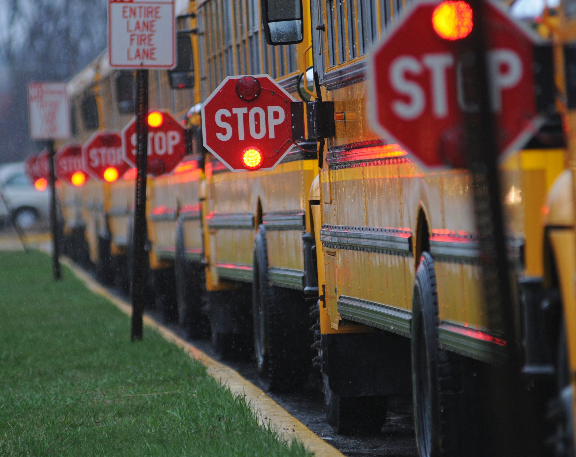A line of school buses parked along a road with their stop signs out