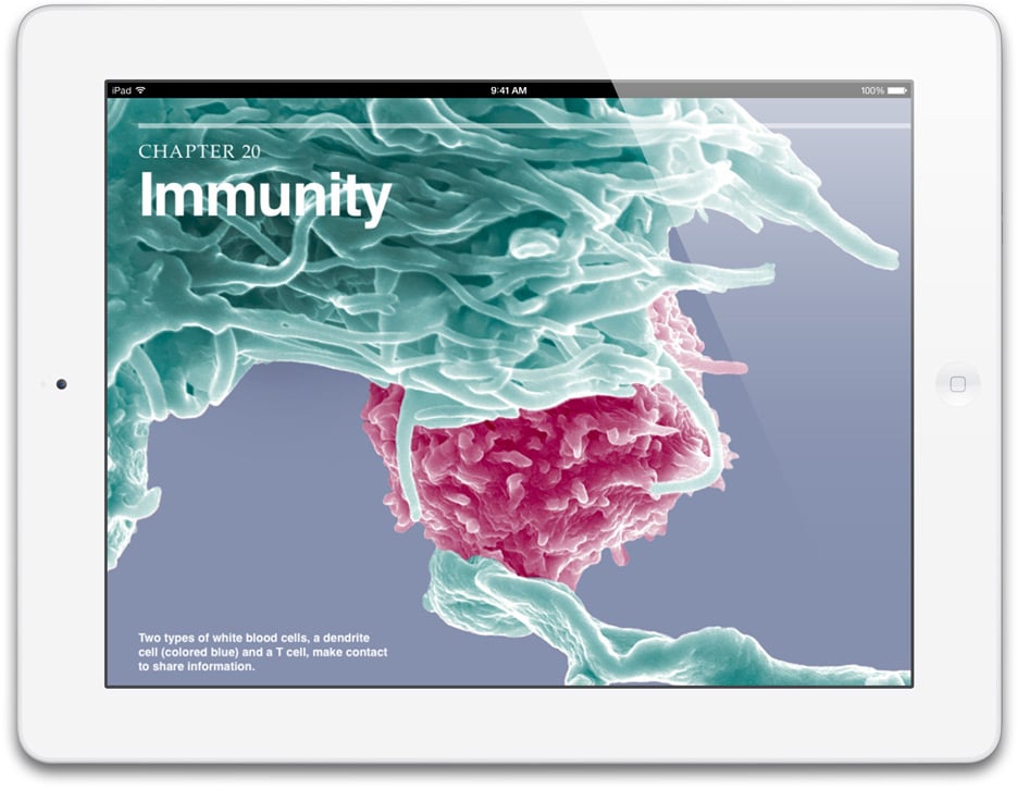 The iPad with Retina Display