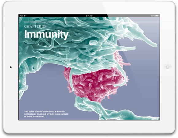 The iPad with Retina Display