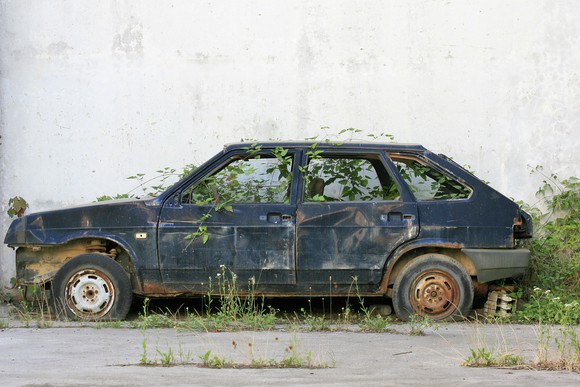 Picture of abandoned car with weeds growing inside of it. 