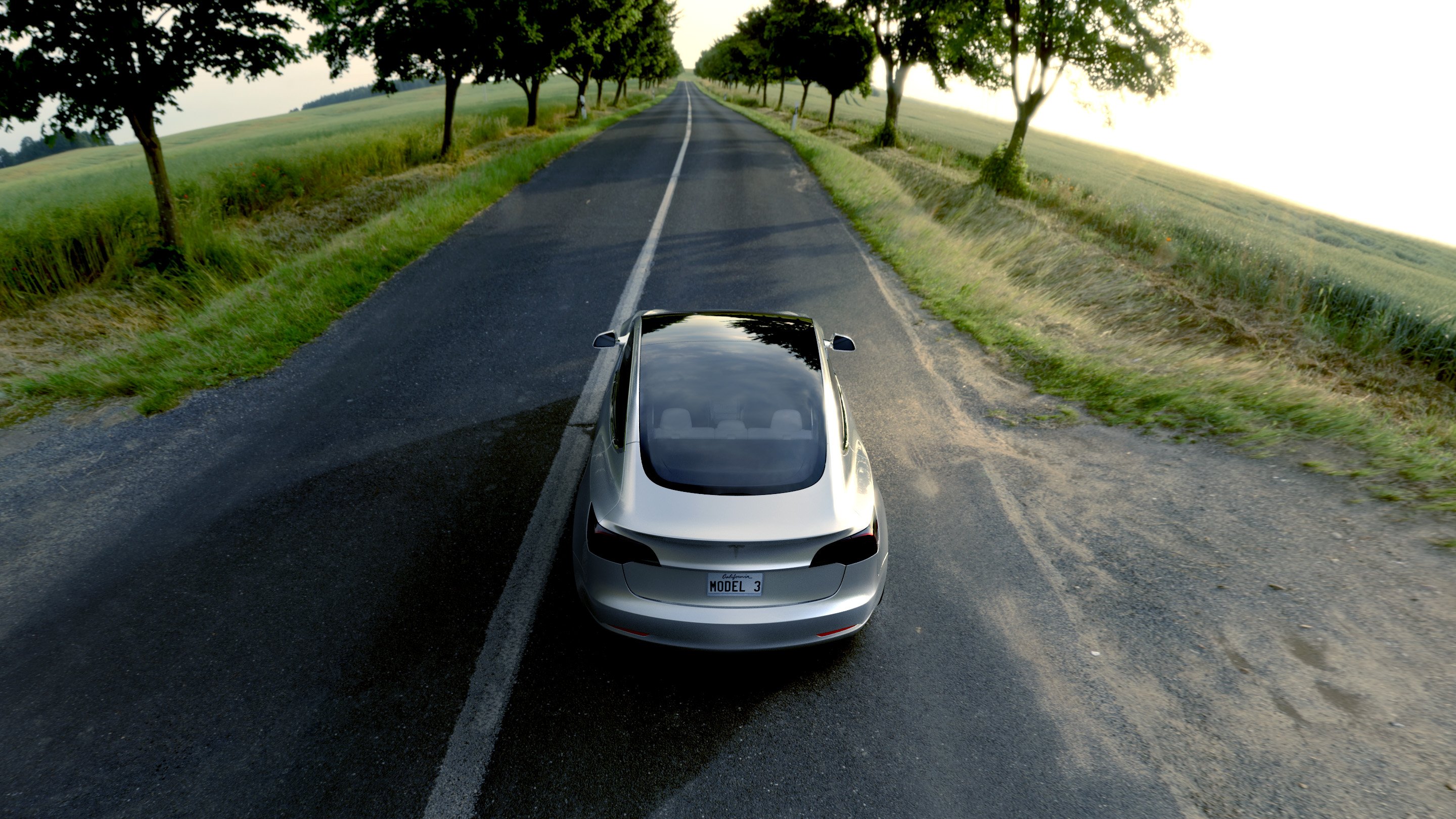 A silver Model 3 driving on a stretch of open country road