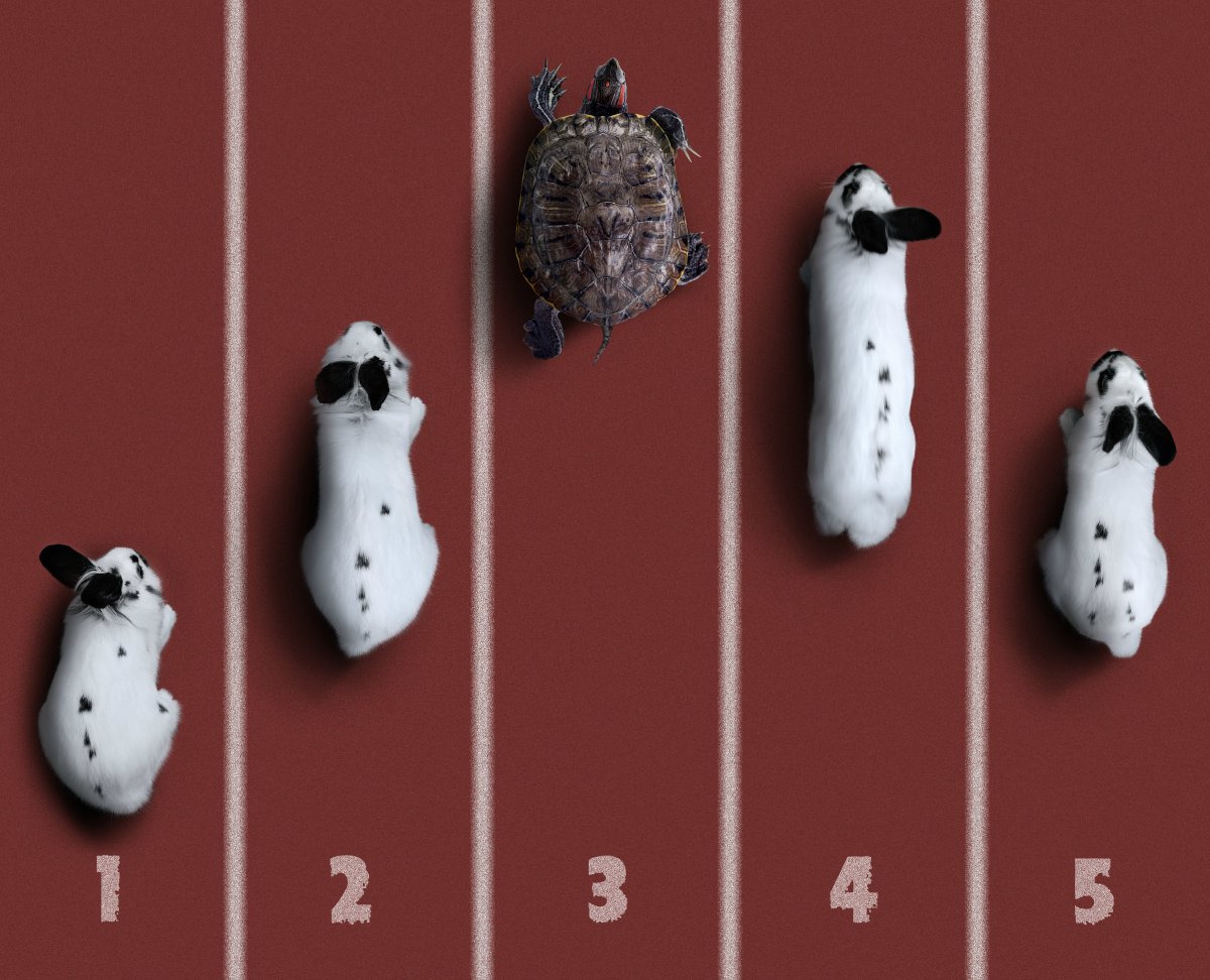 A turtle races some rabbits and is slightly ahead.