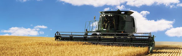 A baler plows through a field of wheat.