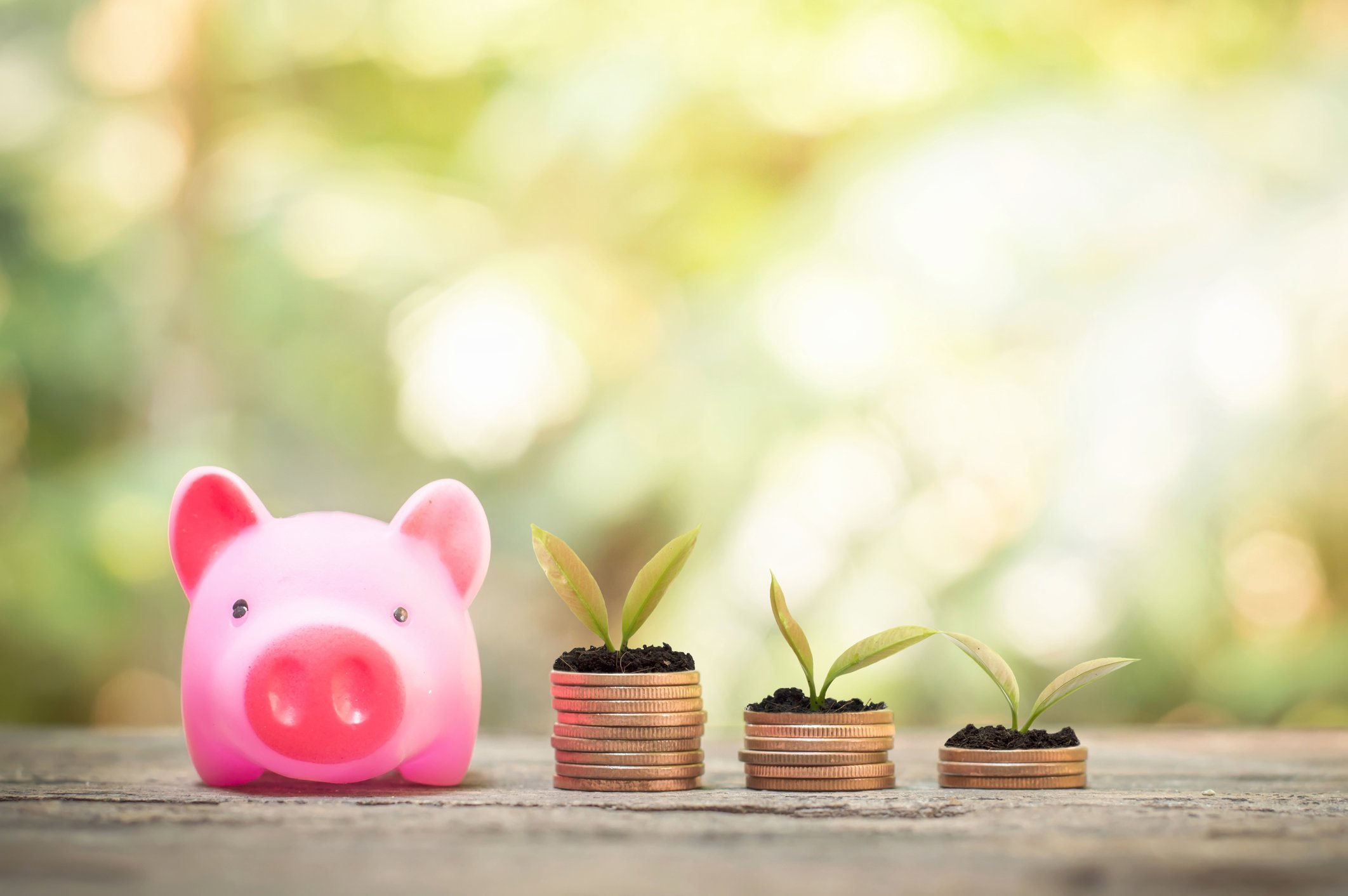 Plants growing on a stack of coins 