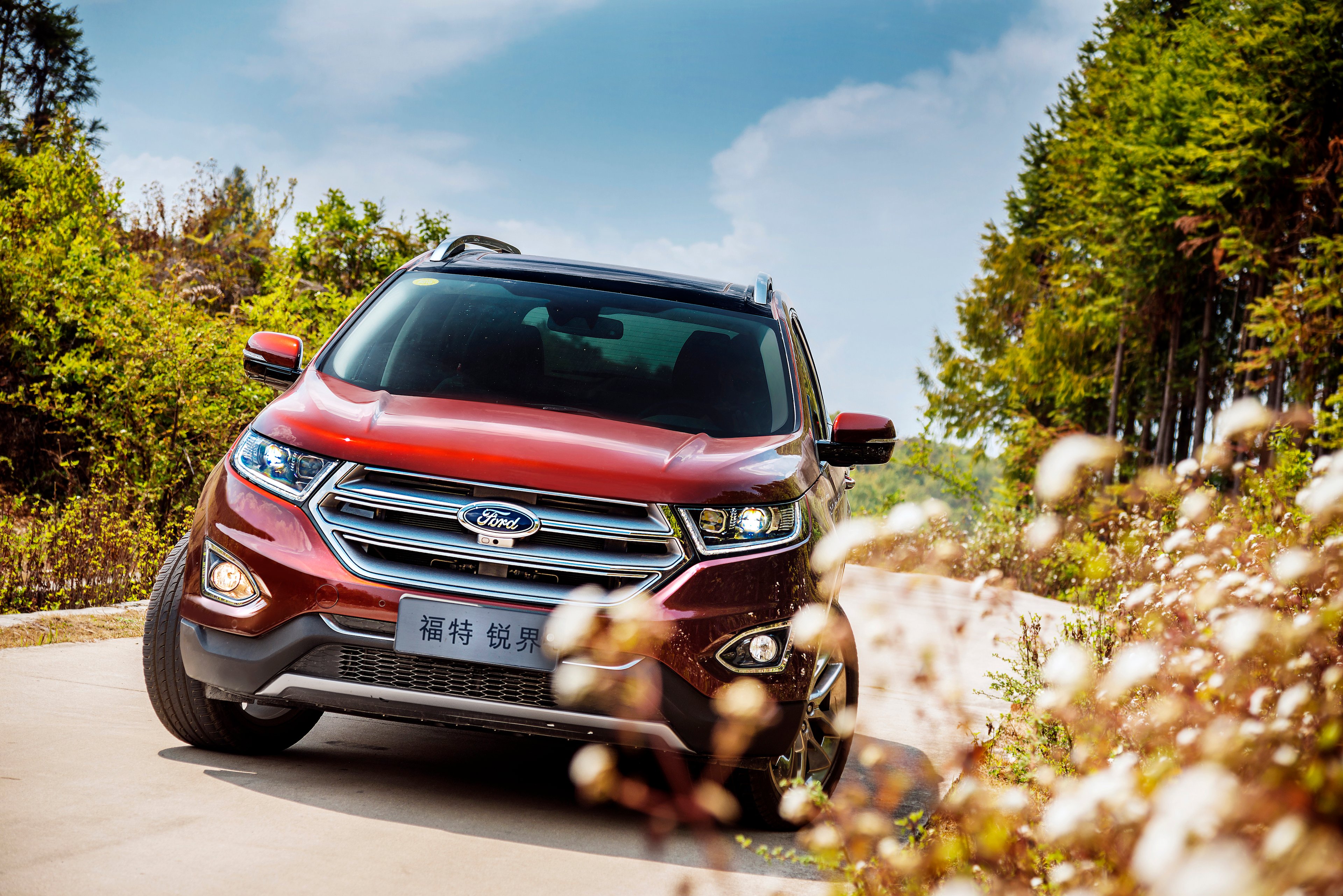 A Ford Edge with Chinese license plates is shown next to a meadow. 