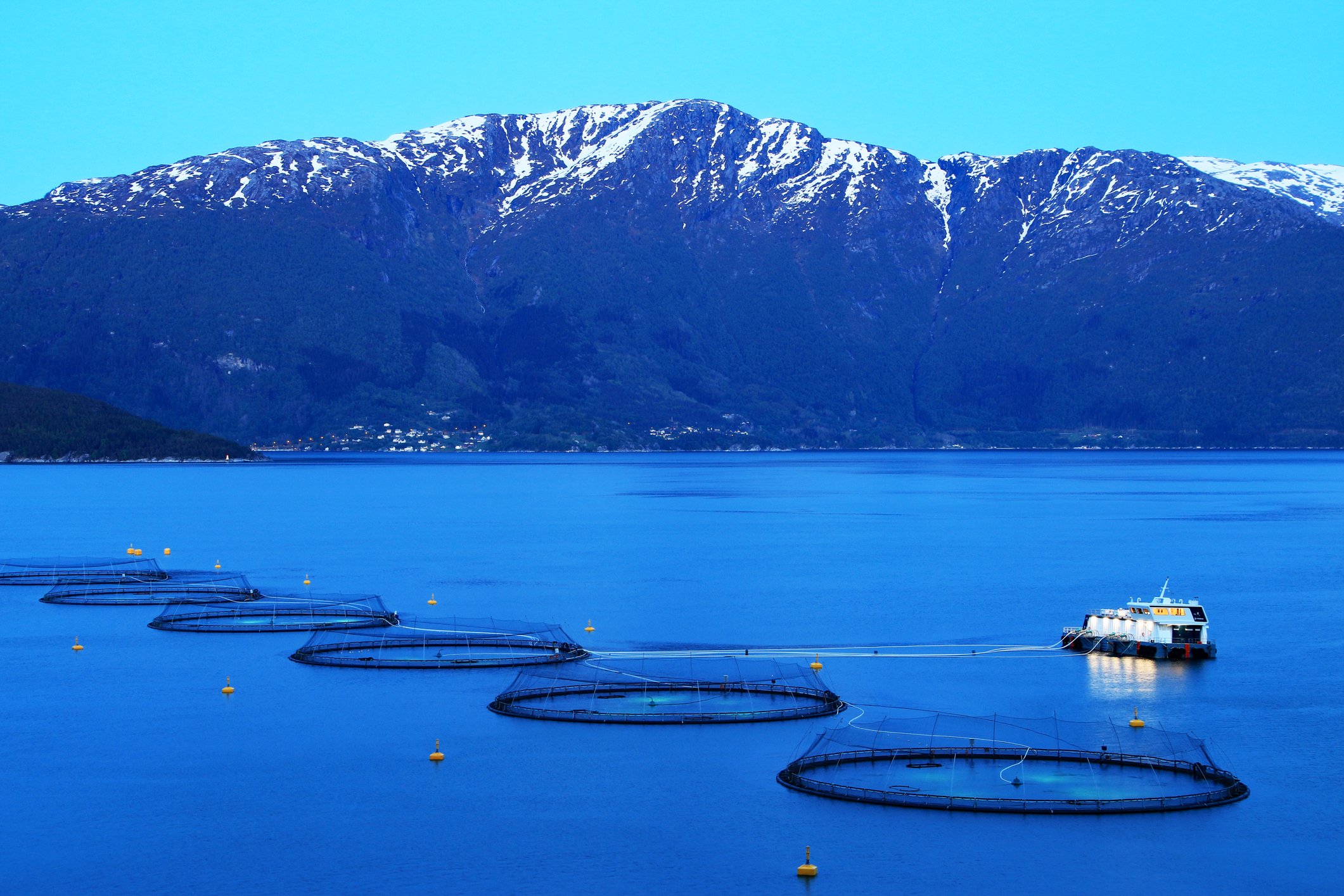 078 aquaculture