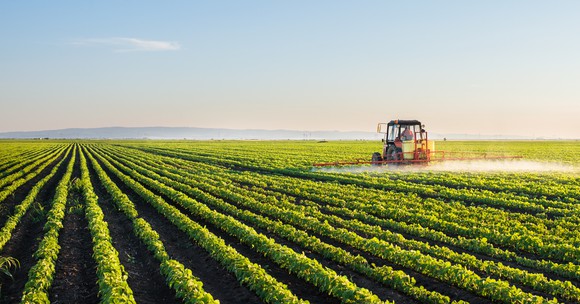 Tractor spraying a soybean field.