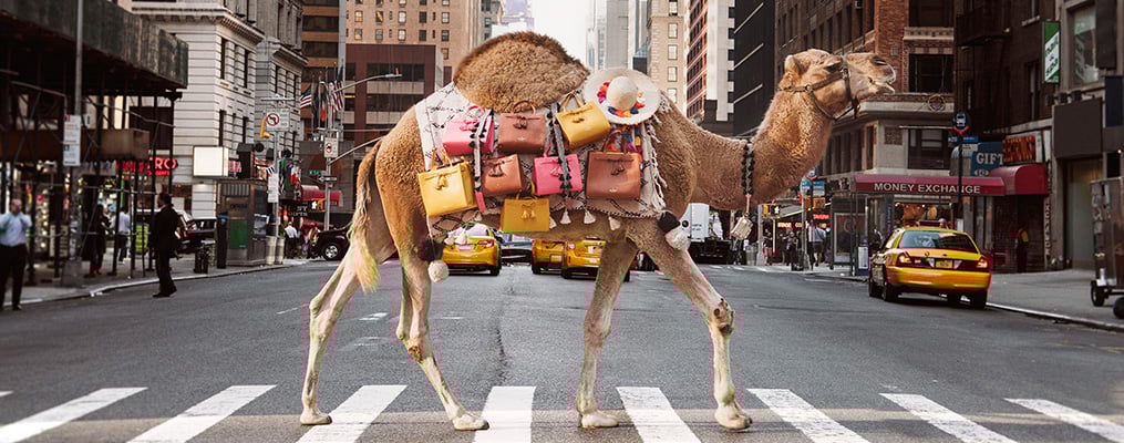 Camel carrying new Kate Spade handbags