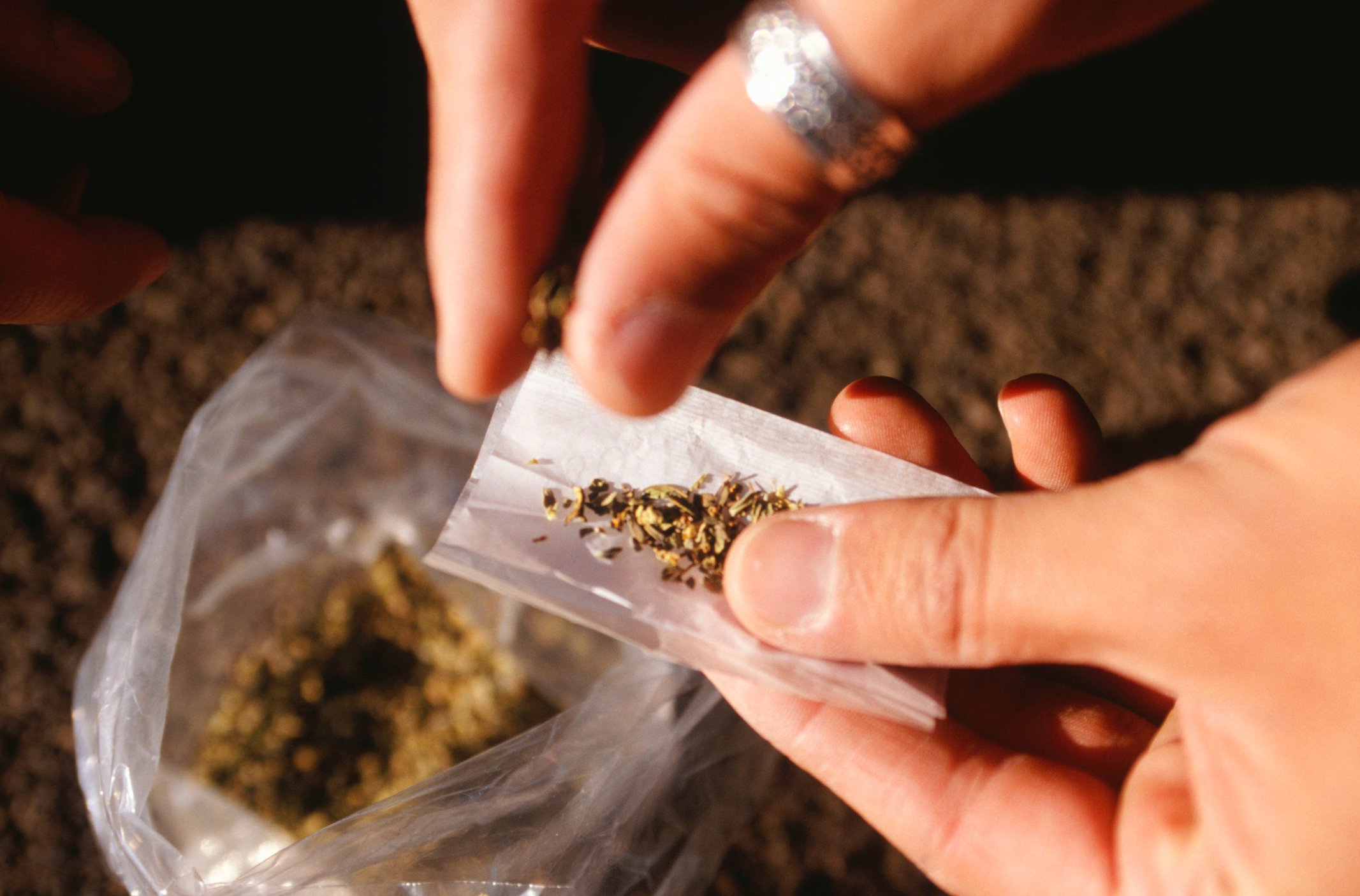 A person rolls a marijuana cigarette.