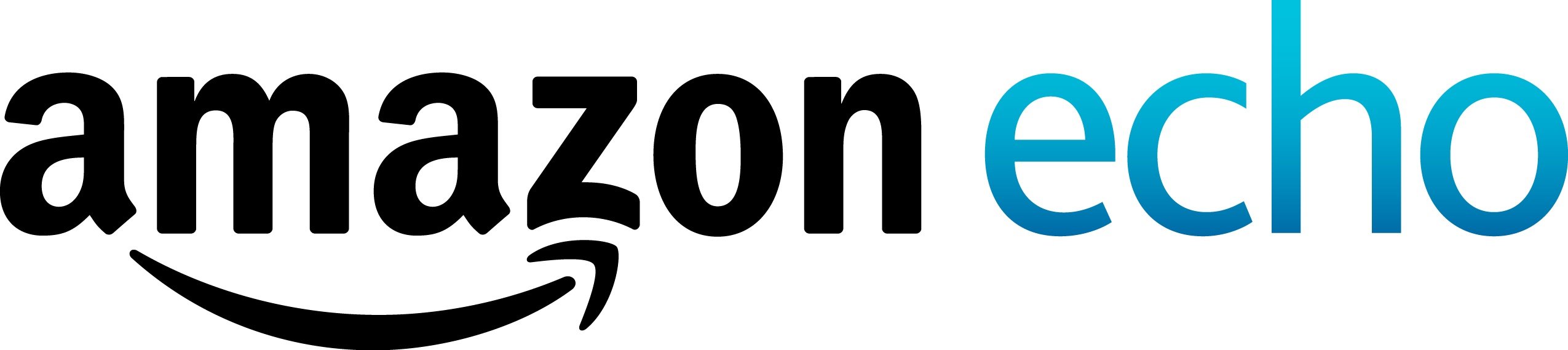 Amazon Echo logo.