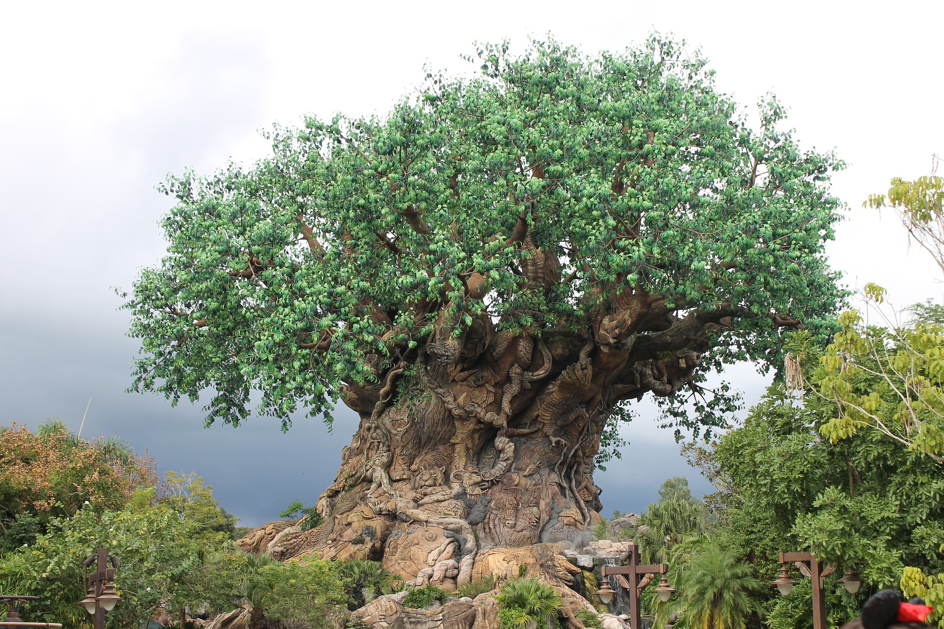 The Tree of Life at the center of Disney's Animal Kingdom.