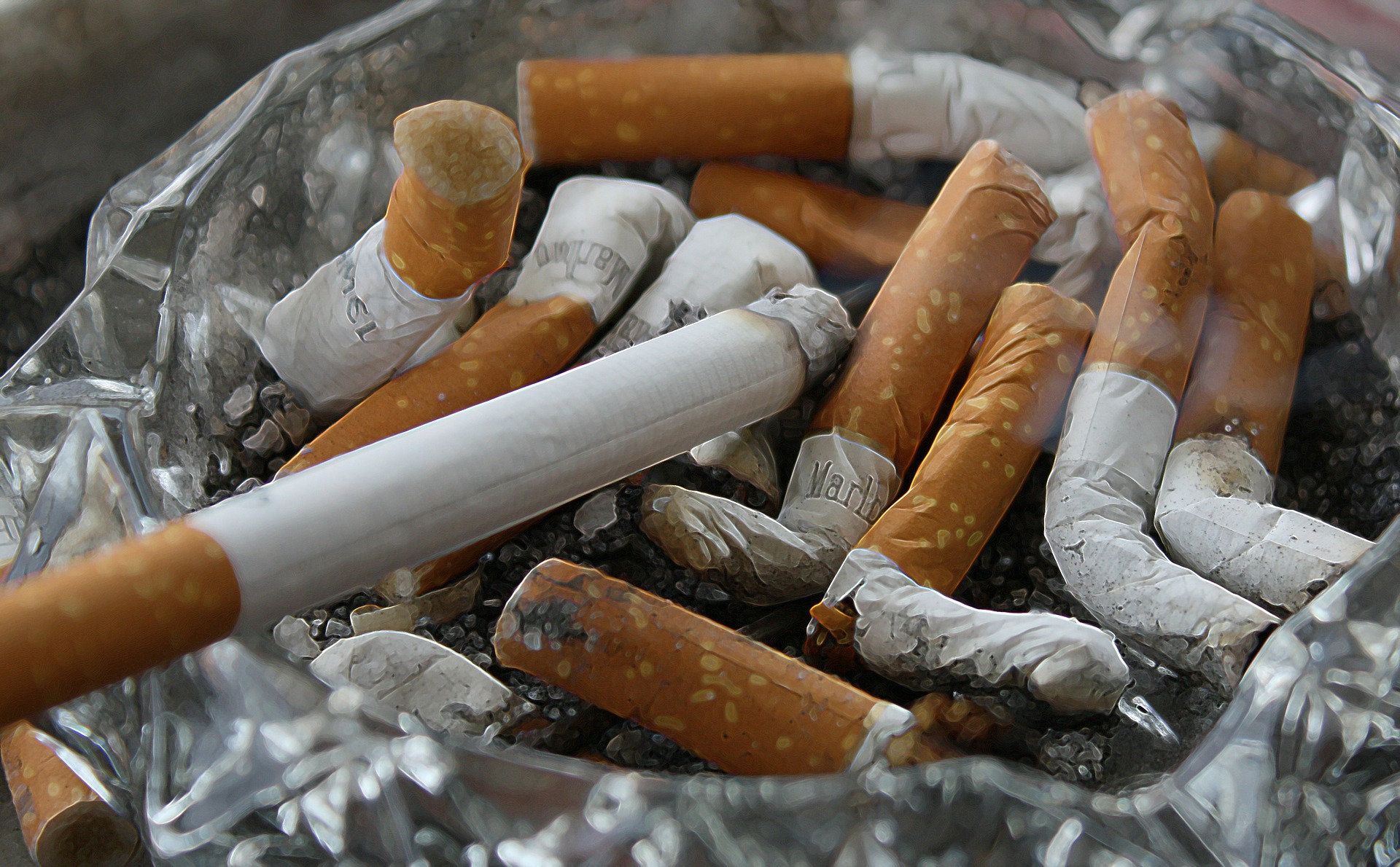 A bunch of cigarette butts in an ash tray
