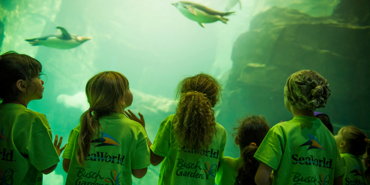 A group of children look into an aquarium filled with marine life