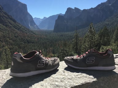 skechers mountain