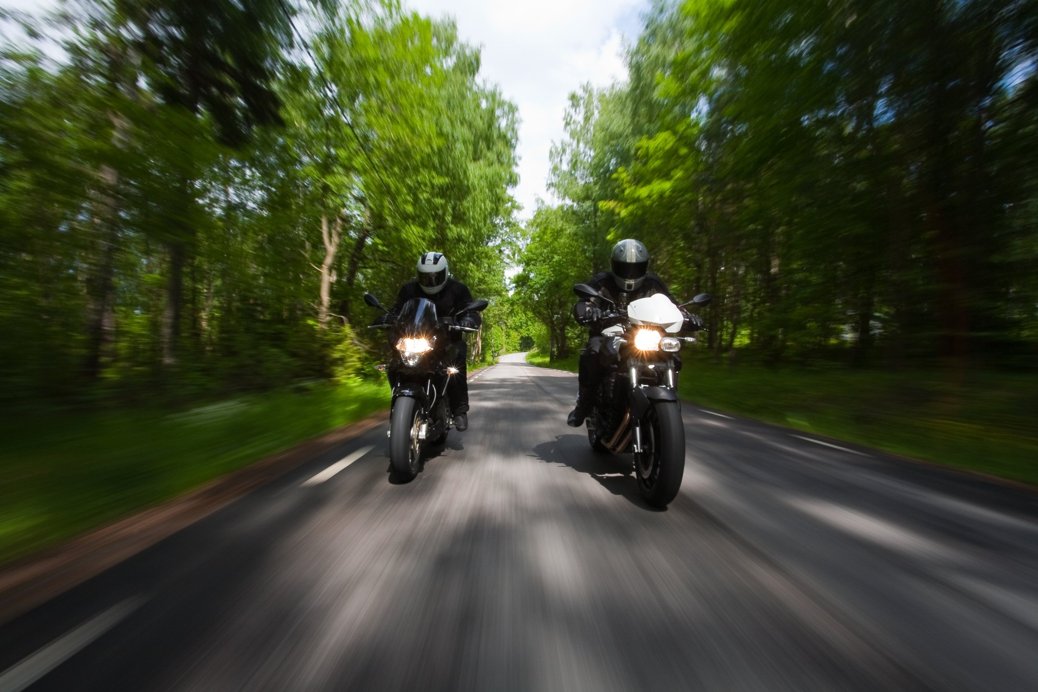 Motorcycles racing in the forest