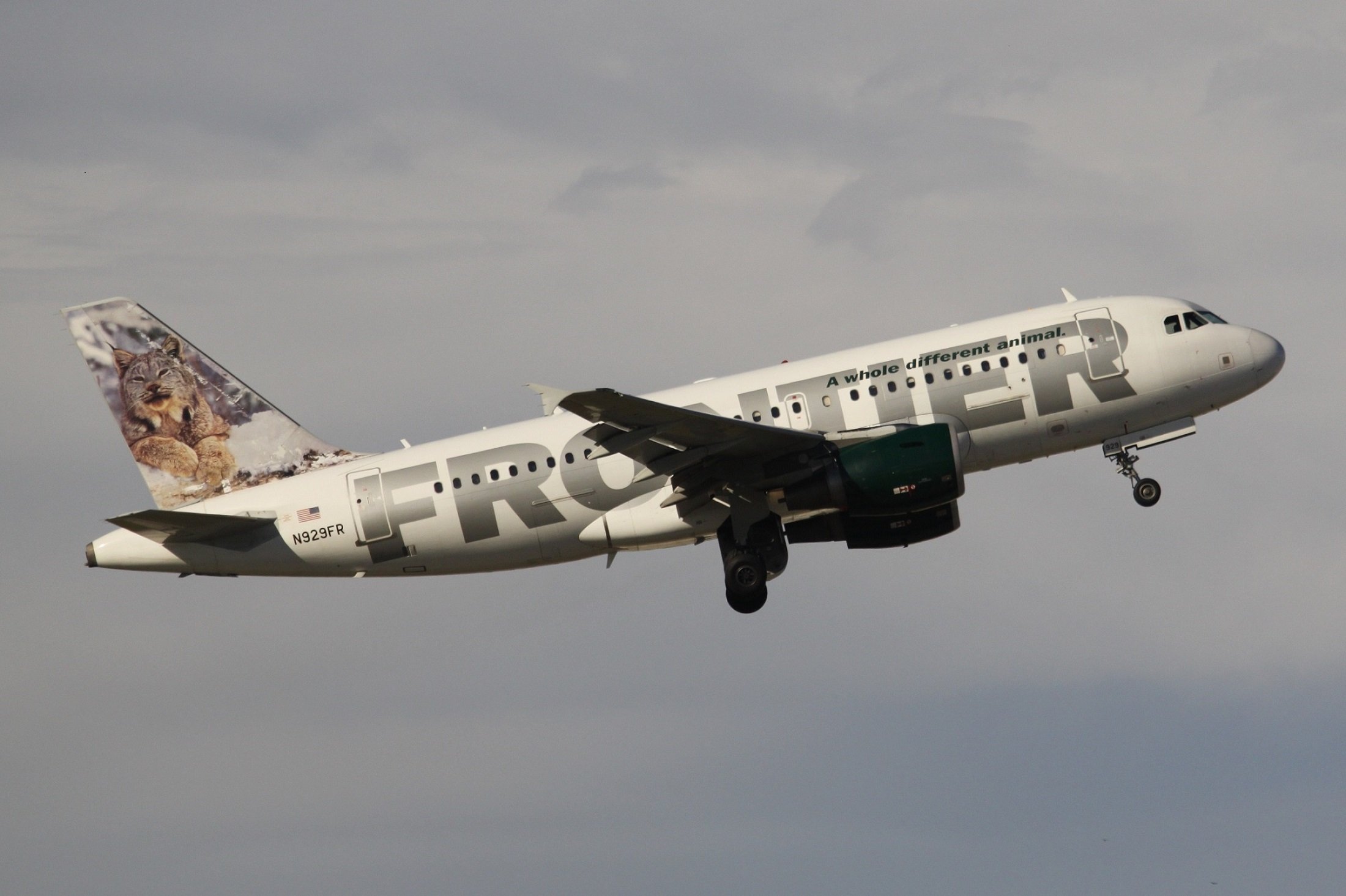 A Frontier Airlines plane in flight.