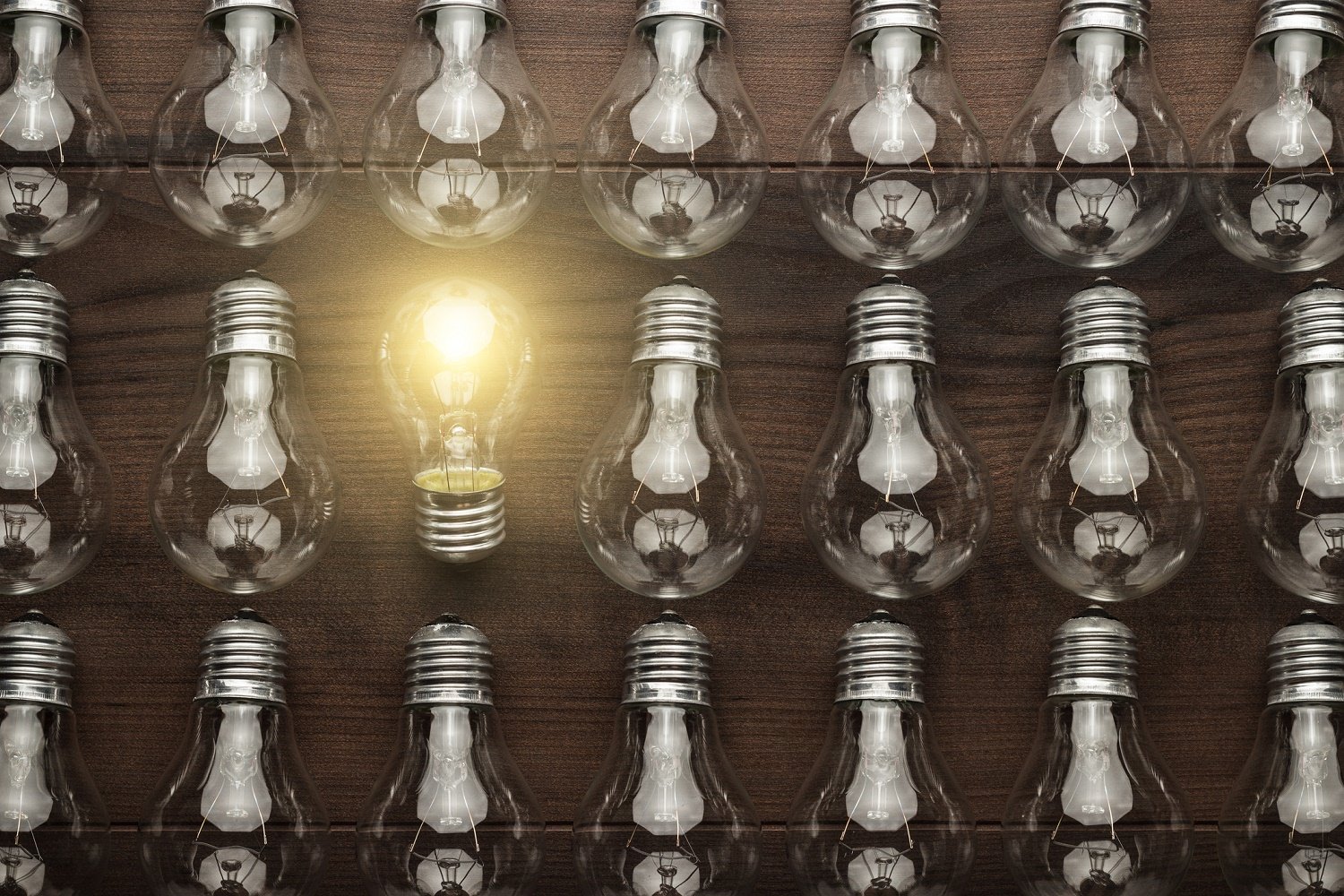 Photo of a group of lightbulbs, with one lit. 