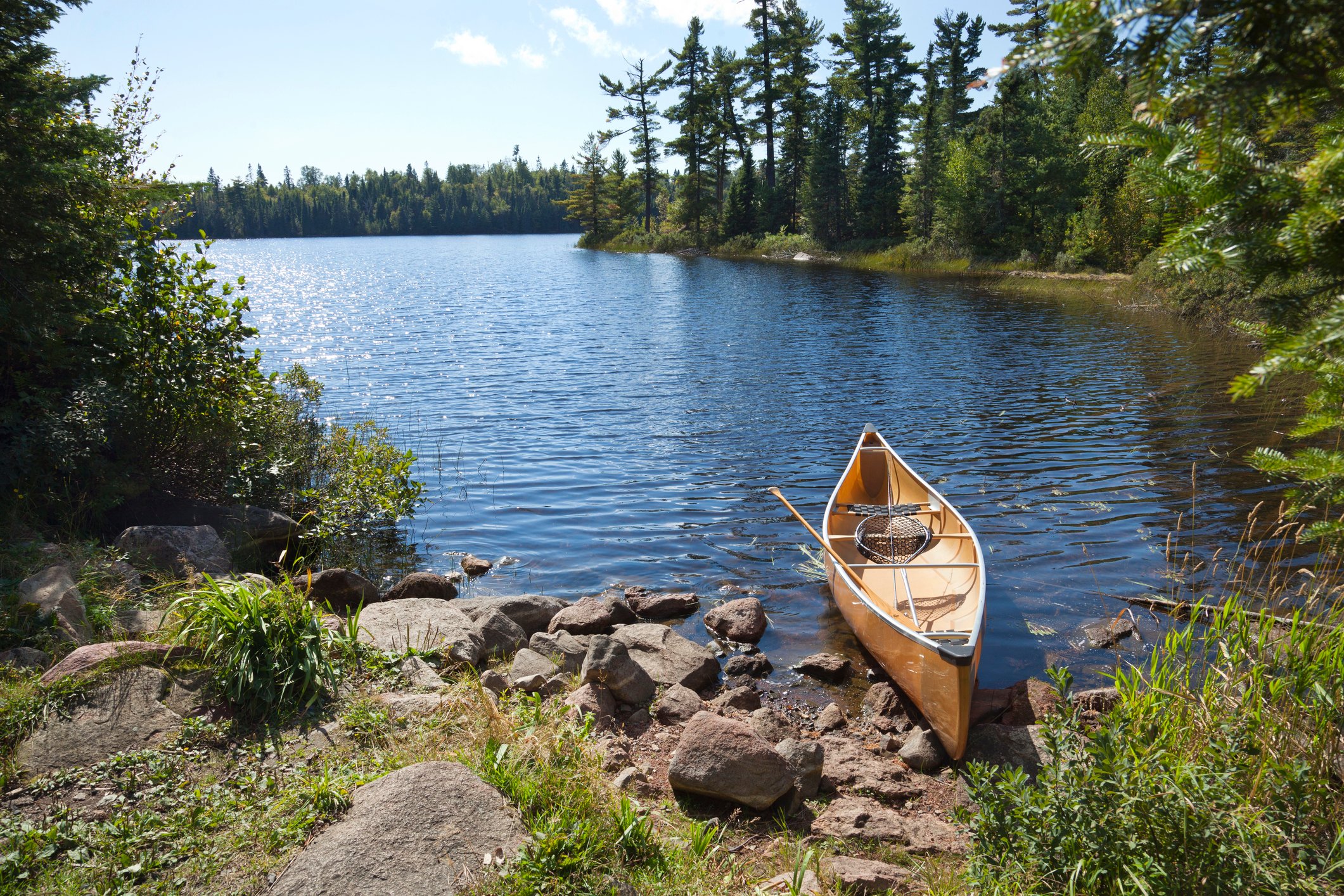 River and trees with boat.
