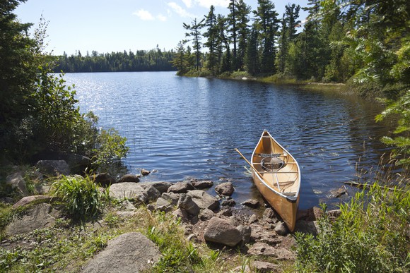 River and trees with boat.