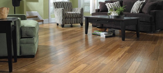A living room scene featuring bamboo flooring from Lumber Liquidators