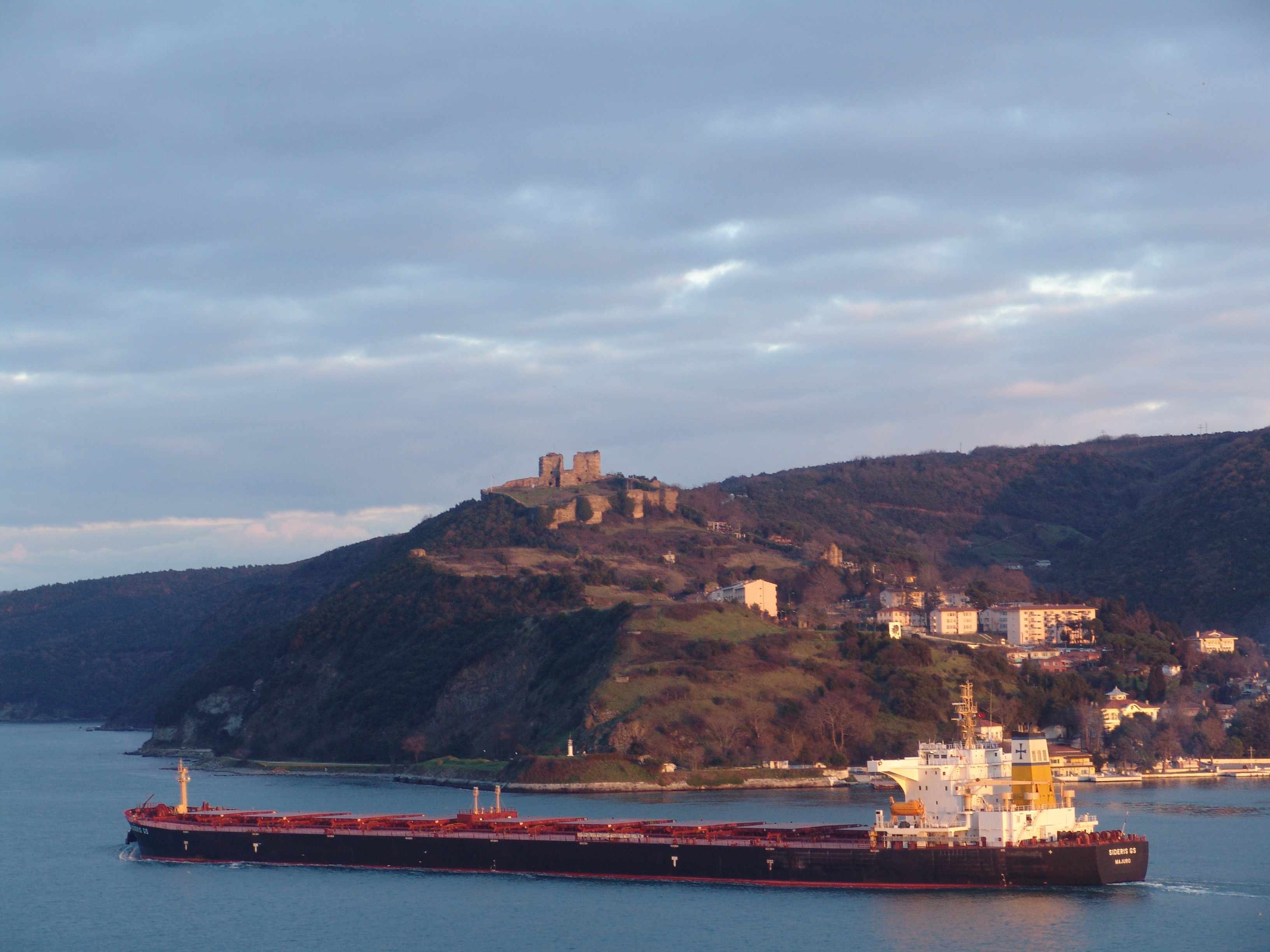 Diana Shipping vessel.