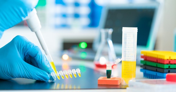 Microtiter plate in genetic laboratory