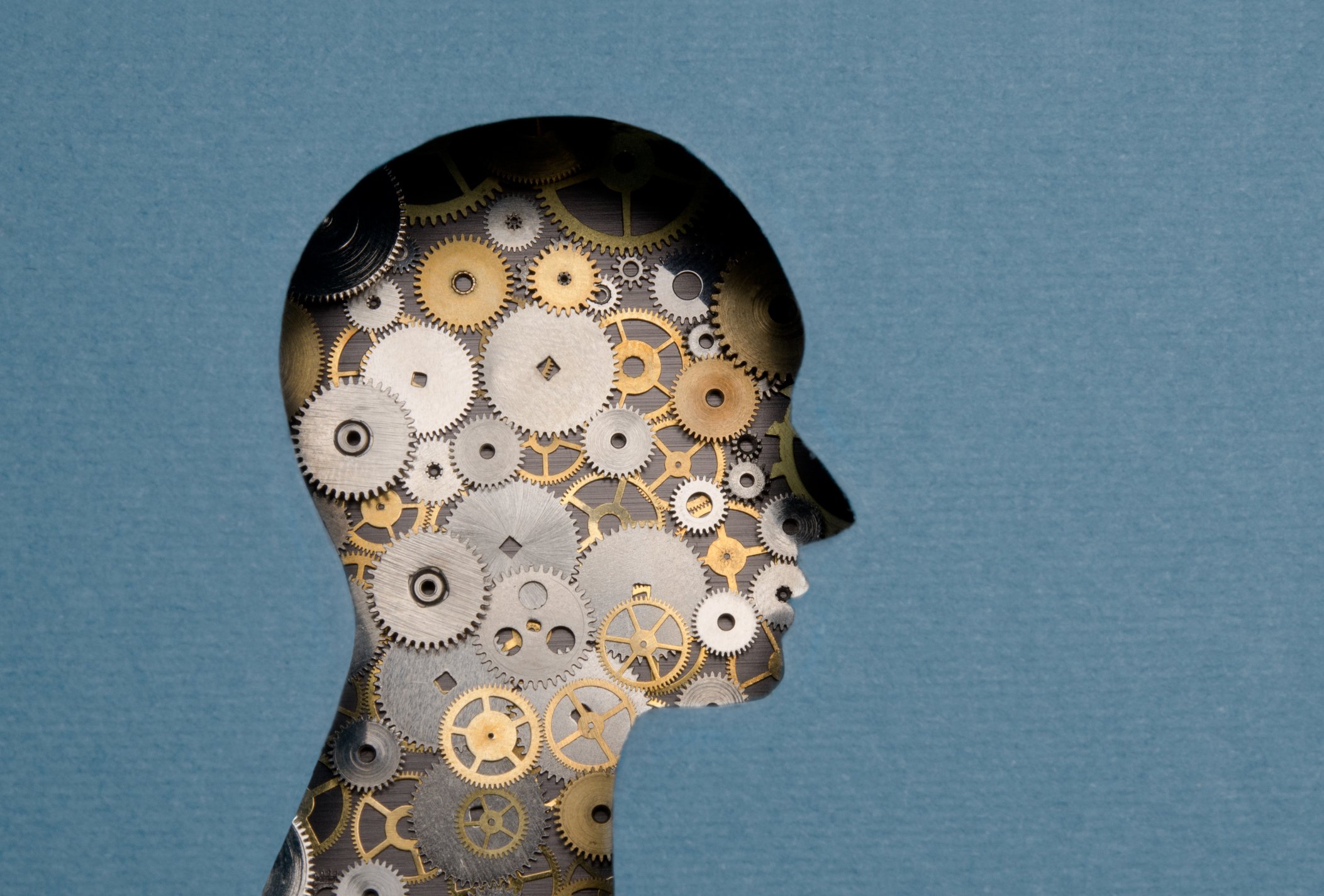 Picture of a head with gears inside of it. 