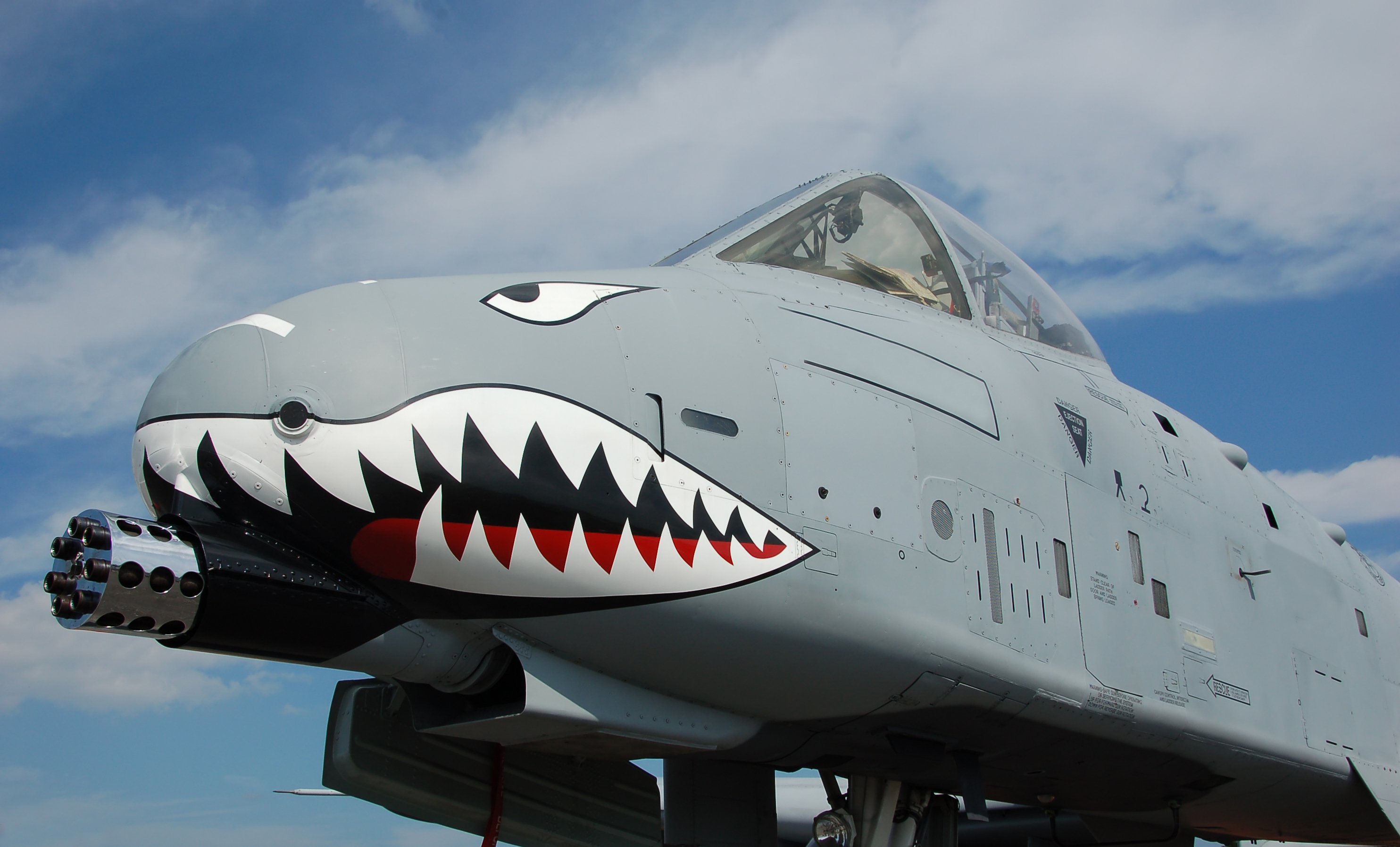 A-10 Thunderbolt II muzzle, with bared teeth painted on it.