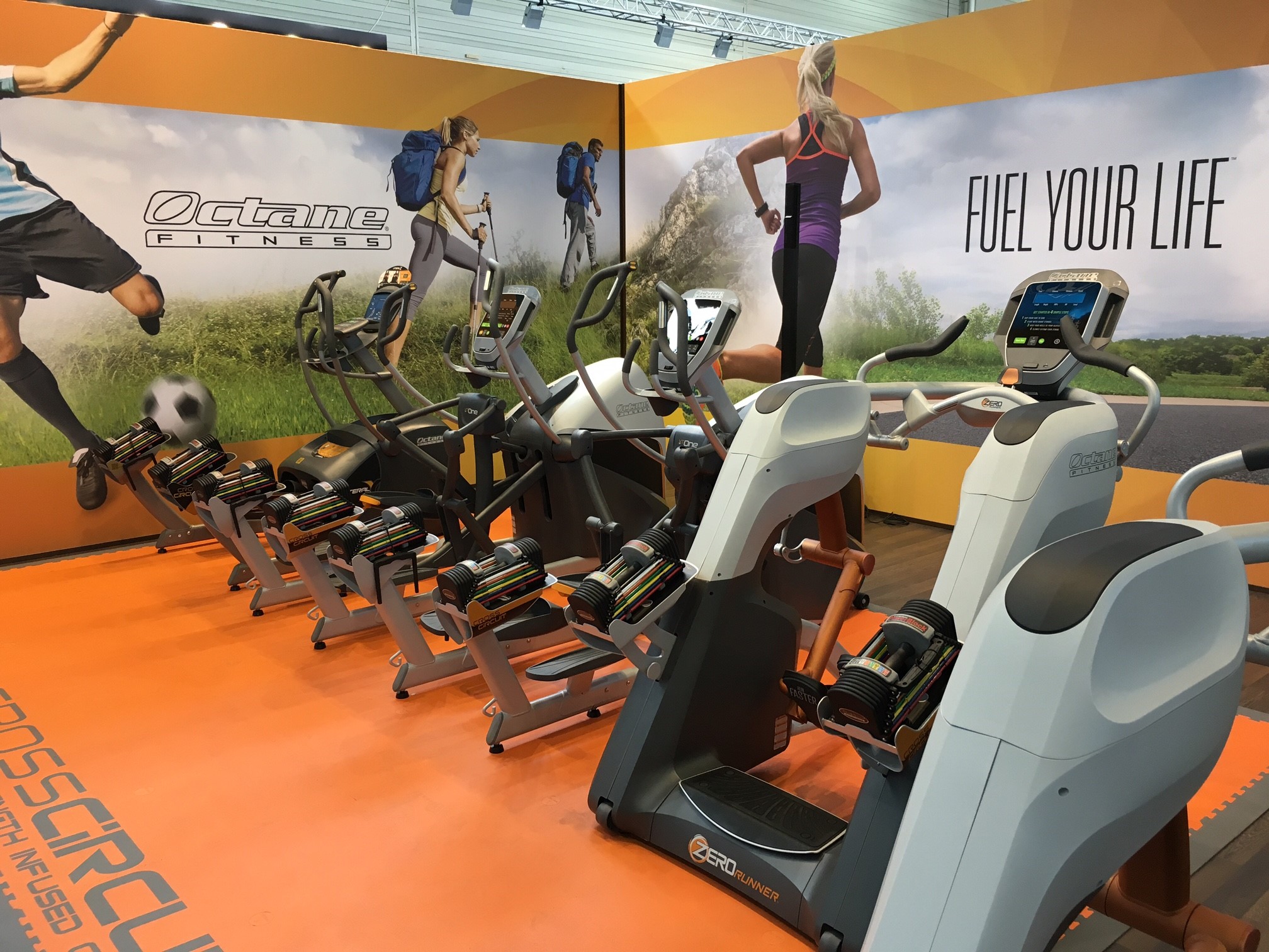 A row of exercise bikes