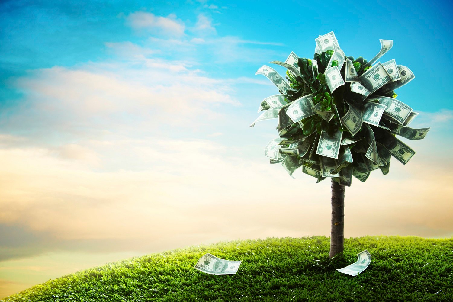 A "money tree" -- a tree with currency for leaves.