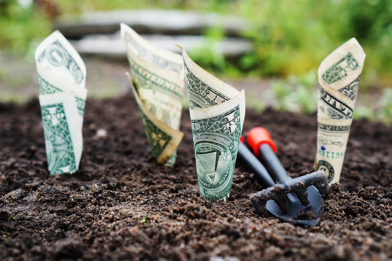 Money growing out of soil.