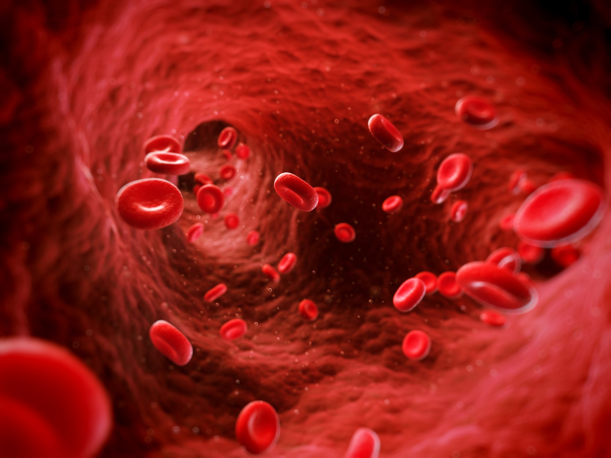 Red blood cells in a blood vessel