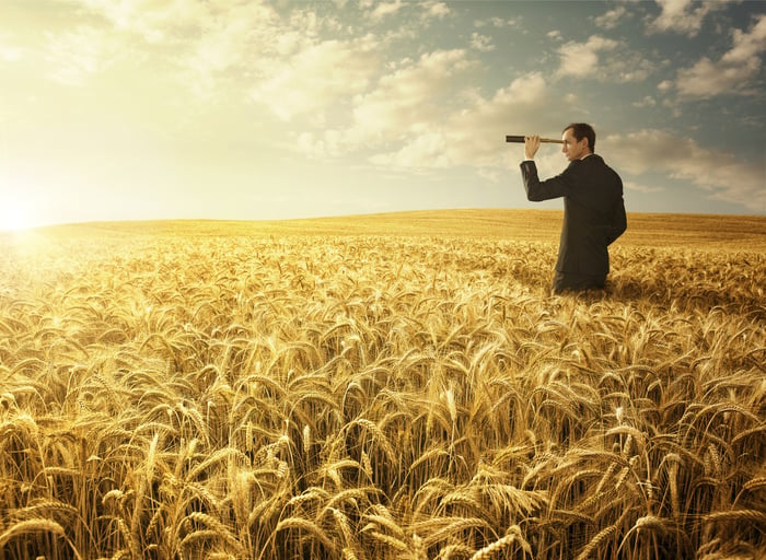 Standing in a field of golden wheat, an investors looks at the horizon through a telescope.