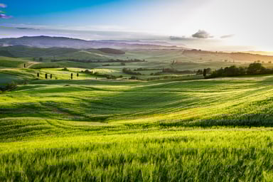 Real Estate - Land - Farm - GettyImages-460155429