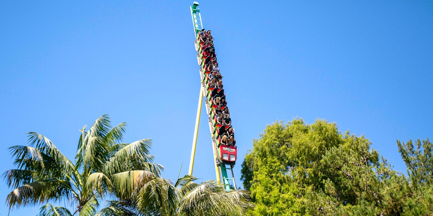 The Montezooma's Revenge roller coaster sticks out above the trees.