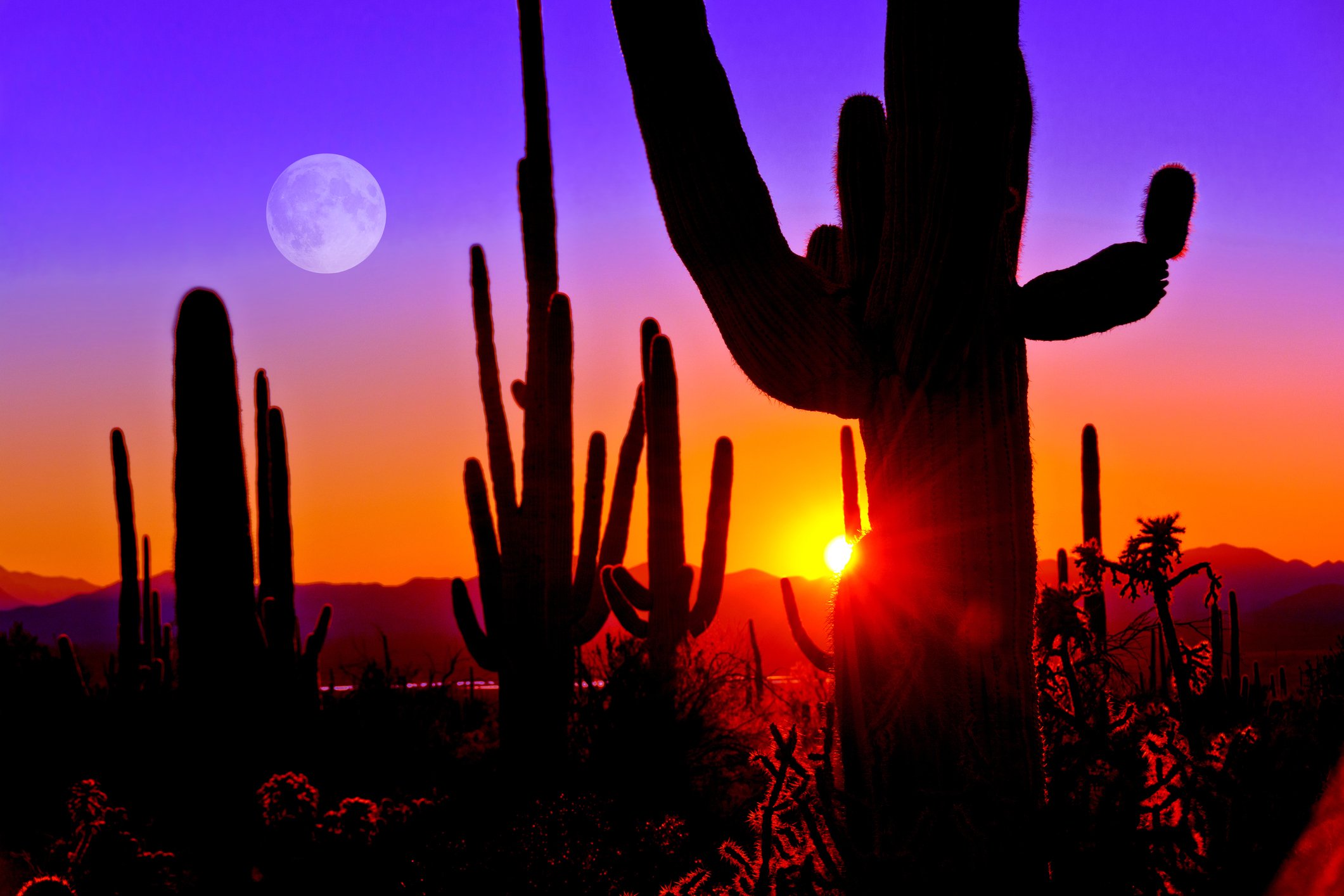 Arizona desert sunset