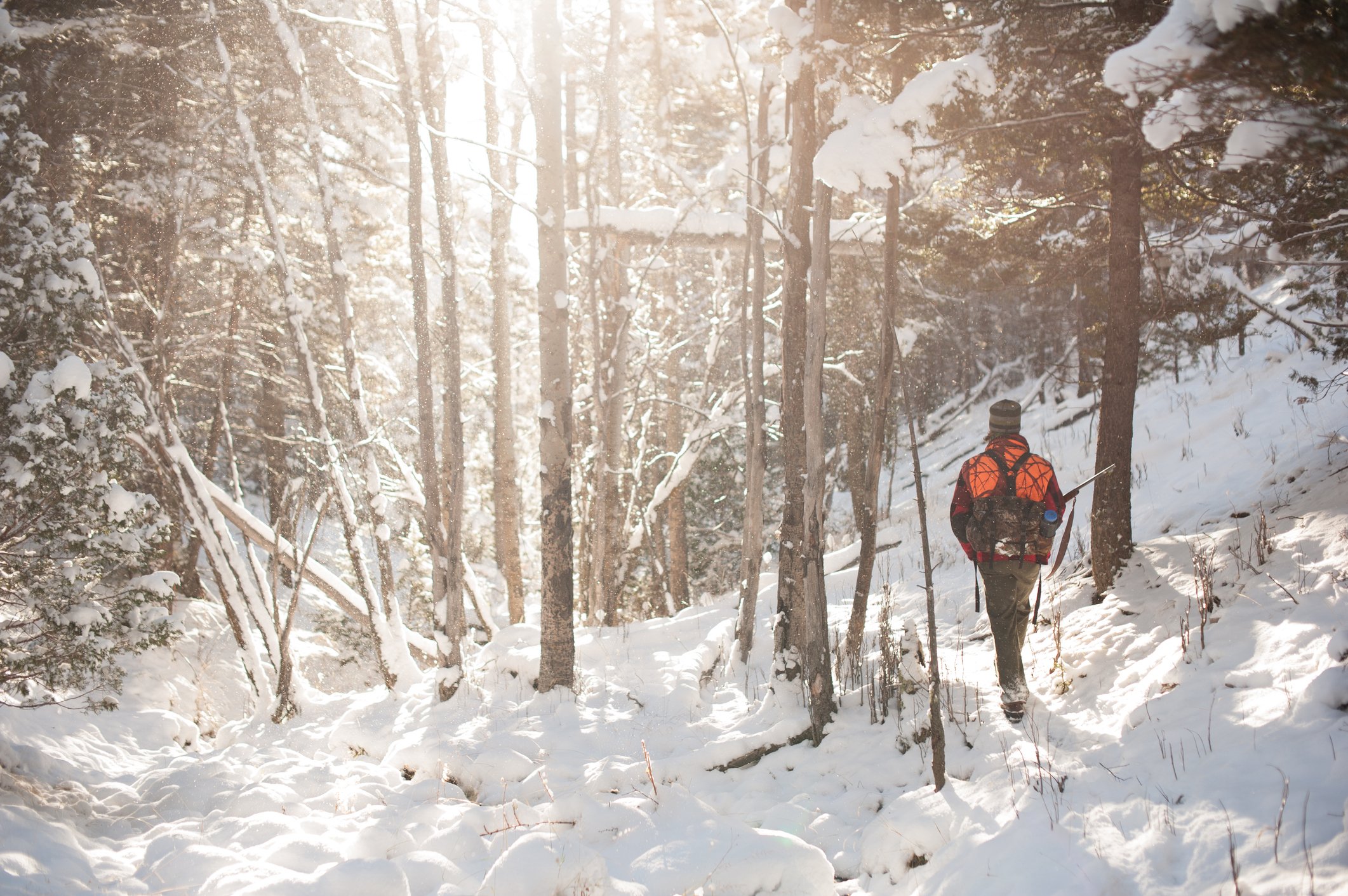 Hunter walking through snow-covered woods. 