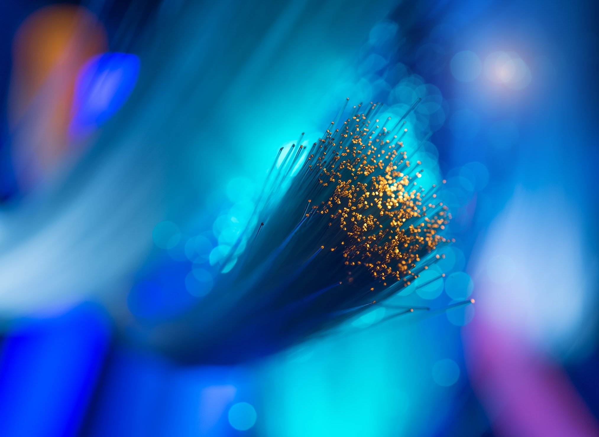Fiber optic cables.