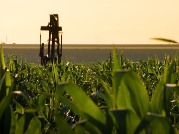 A pumpjack on the middle of a corn field.