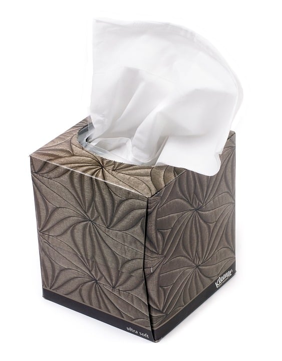 A box of Kleenex. 