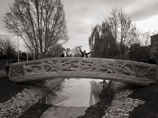 D-Shape's founder stands with arms outstretched on the bridge his company 3D-printed.