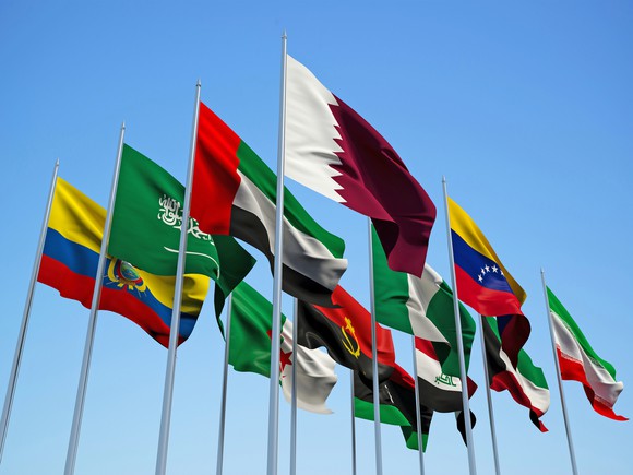 OPEC Flags.