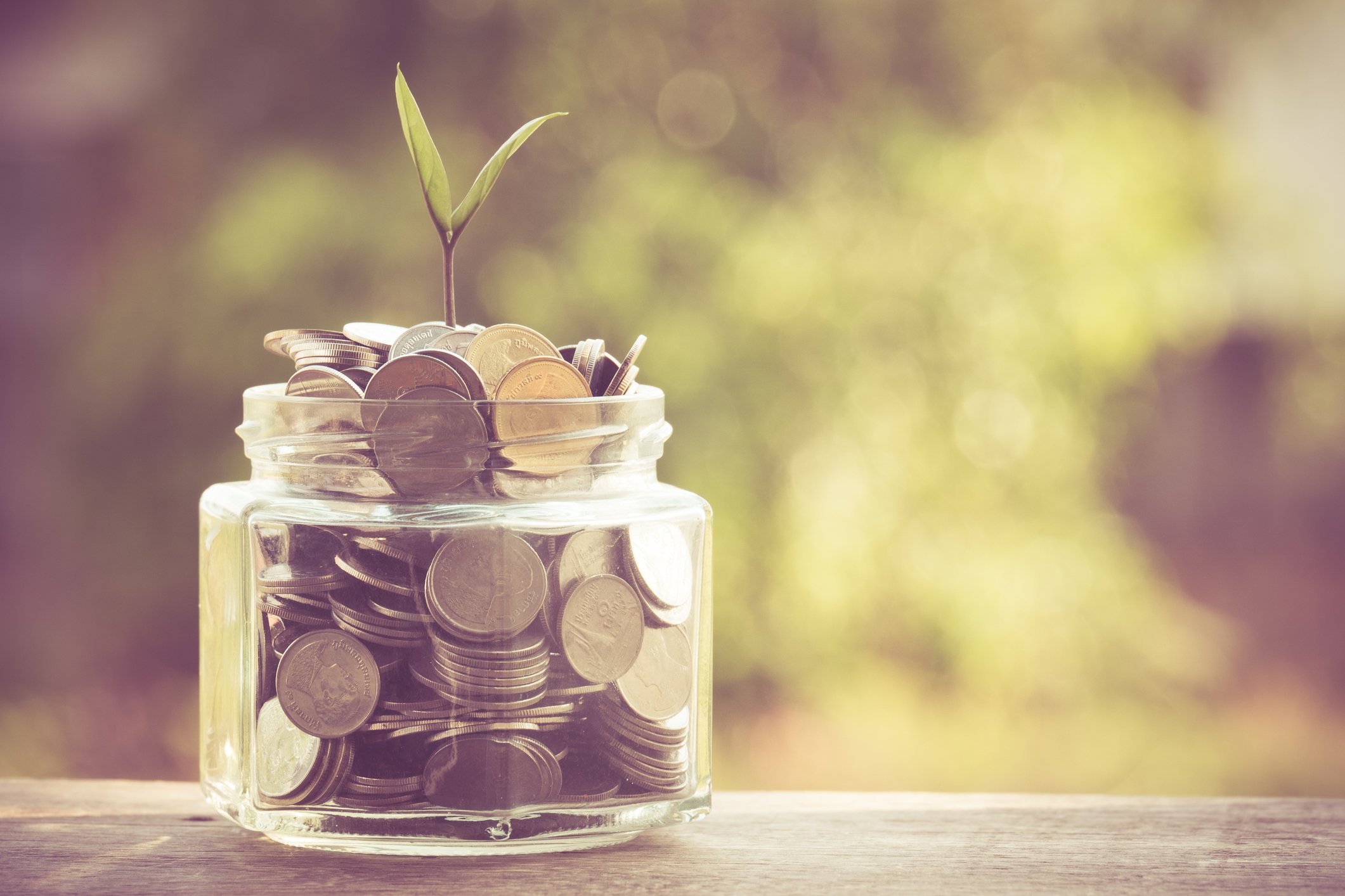 Jar of coins with a sprout growing out of it.