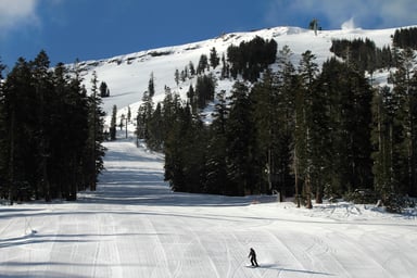 MTN Kirkwood