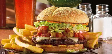 Red-Robin-burnin-love