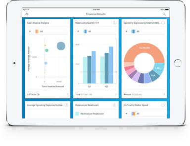 WDAY Fin Mgmt screenshot
