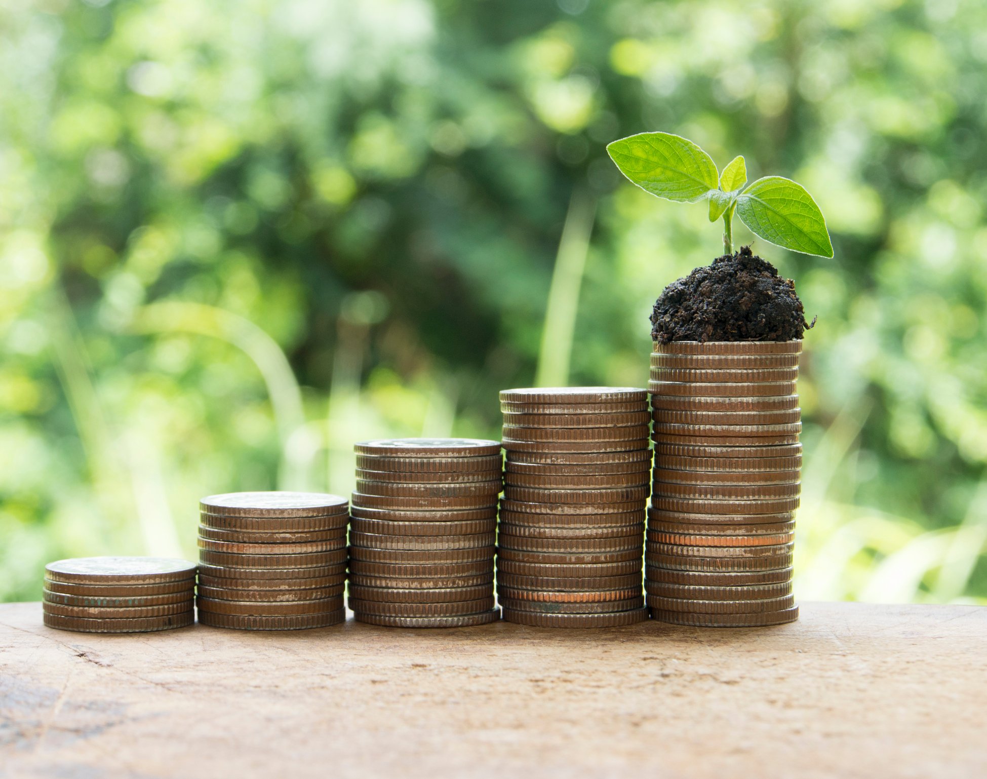 Stacks of coins on a table with a small plant on top of the tallest stack.