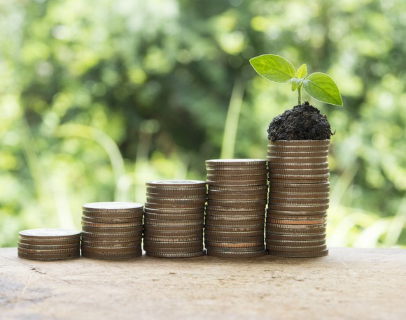 Stacks of coins on a table with a small plant on top of the tallest stack.